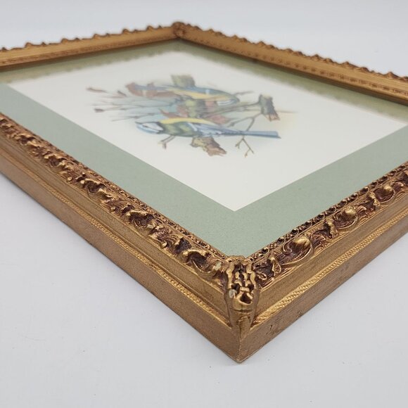 Vintage Framed Bird Illustration by Vortigern Gold Wooden Ornate Frame 13x10" - Picture 11 of 11